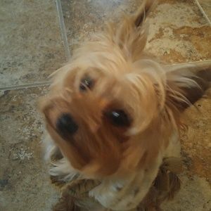 Meet your Posher, Marie